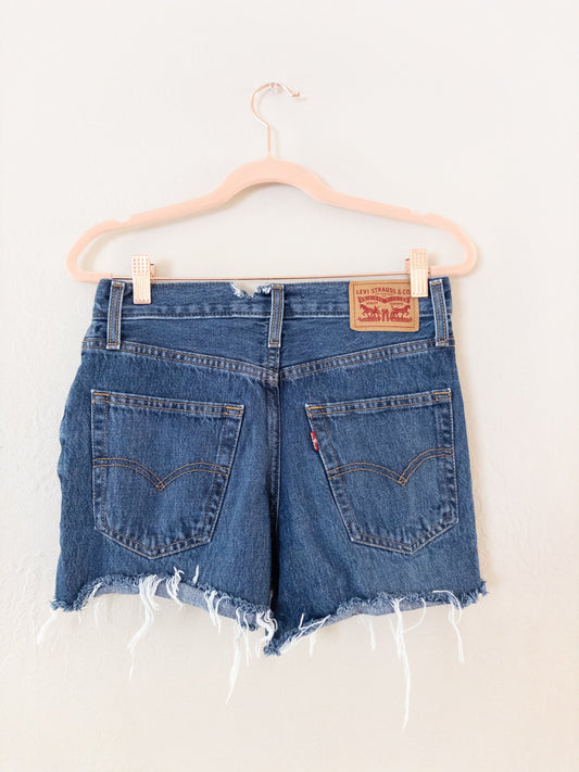 Levi’s ‘94 Baggy Jean Shorts PRE-LOVED