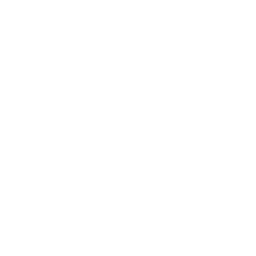 Wild Harmony Boutique